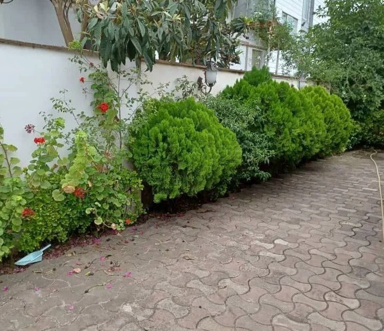 خرید ویلا فلت جنگلی شهرکی | 250 متر
