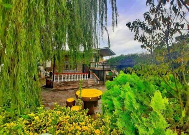 خرید ویلا شهرکی جفت جنگل | 260 متر