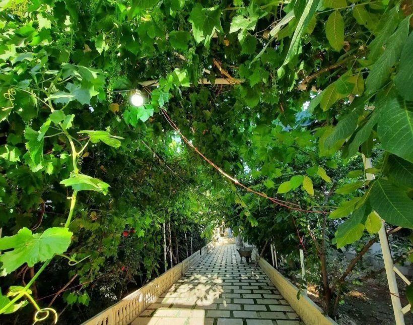 فروش ویلا باغ فلت استخر دار 300 متری منطقه برند جنگلی | 300 متر