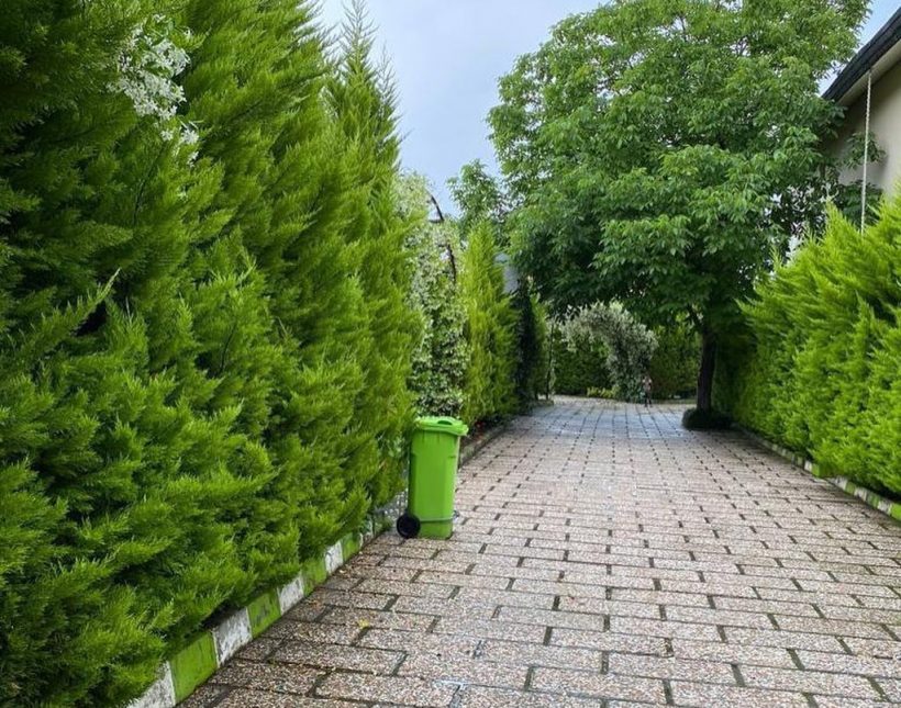 خرید ویلا باغ شهرکی سند دار | 250 متر
