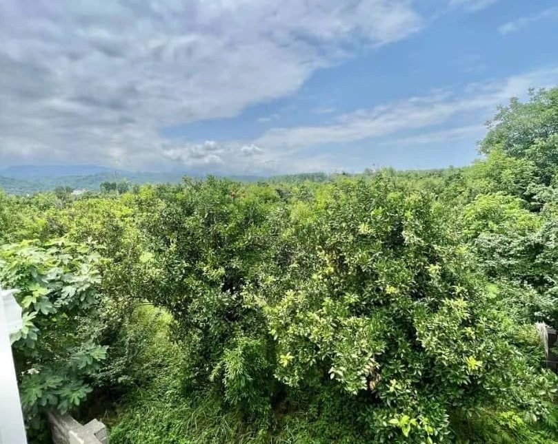 ویلا نیم پیلوت 250 متری شهرکی جفت جنگل سند شش دانگ | ۲۵۰ متر