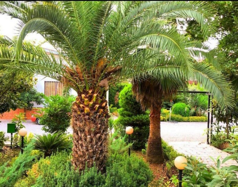 خرید ویلا نما کلاسیک 400 متری سند دار شهرک برند ویو ابدی | ۴۰۰ متر