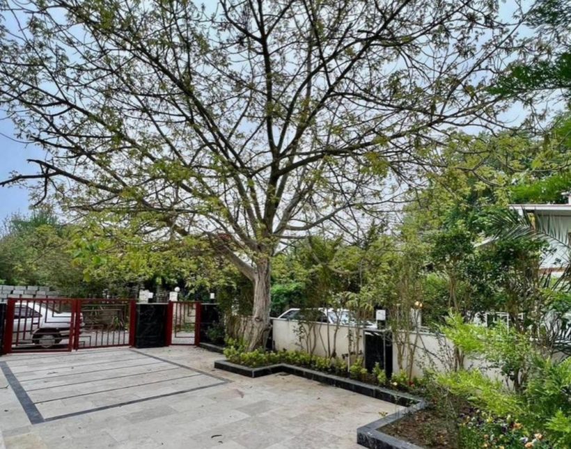 ویلا فلت مدرن 280 متری روفدار ویو ابدی جنگل | ۲۸۰ متر