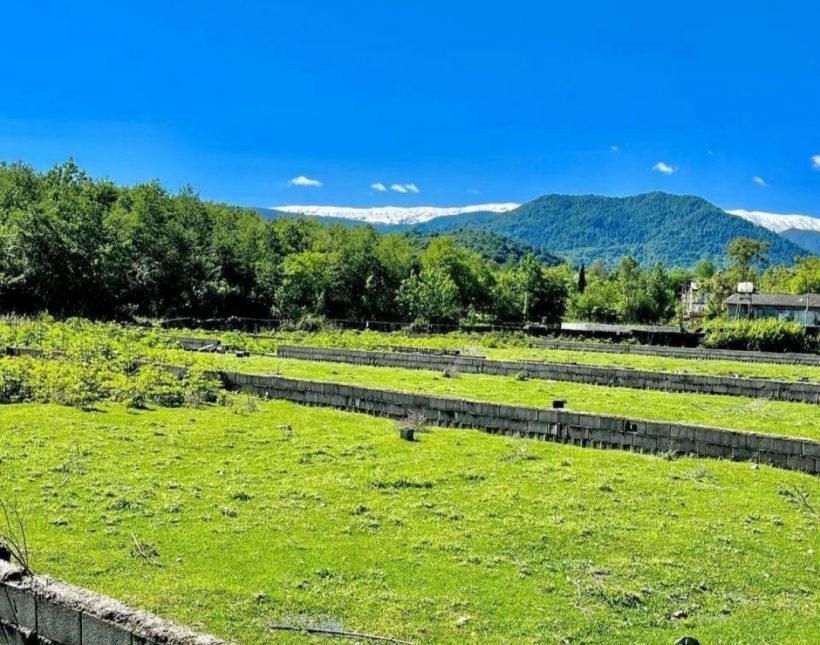 فروش زمین 430 متری جنگلی و سند دار چمستان | ۴۳۰ متر