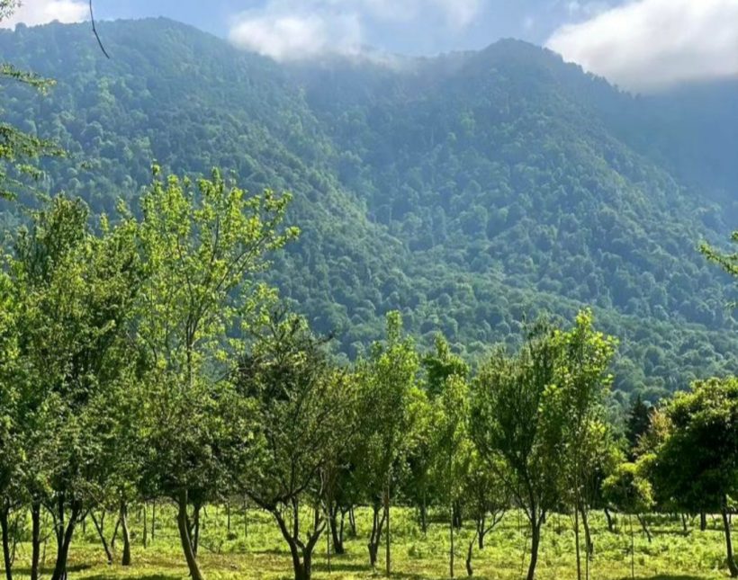 خرید ویلا در شمال 800 متری نما کلاسیک پای جنگل و کوه | ۸۰۰ متر