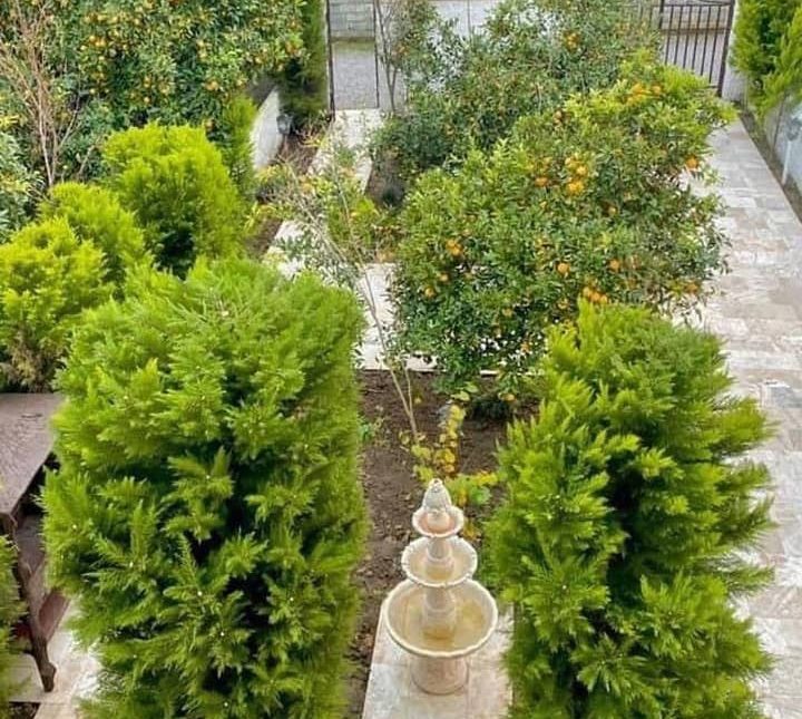 خرید ویلا در دل جنگل | 350 متر
