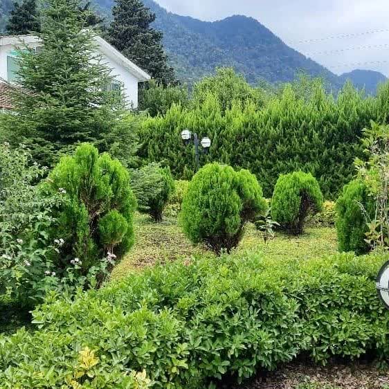 باغ ویلای 400 متری سند دار و شهرکی واقع در دامنه جنگلی | 400 متر