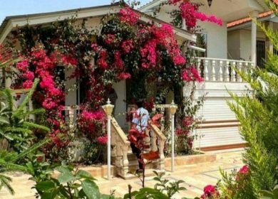 خرید باغ ویلا 230 متری جنگلی سند دار شهرکی نور | 230 متر