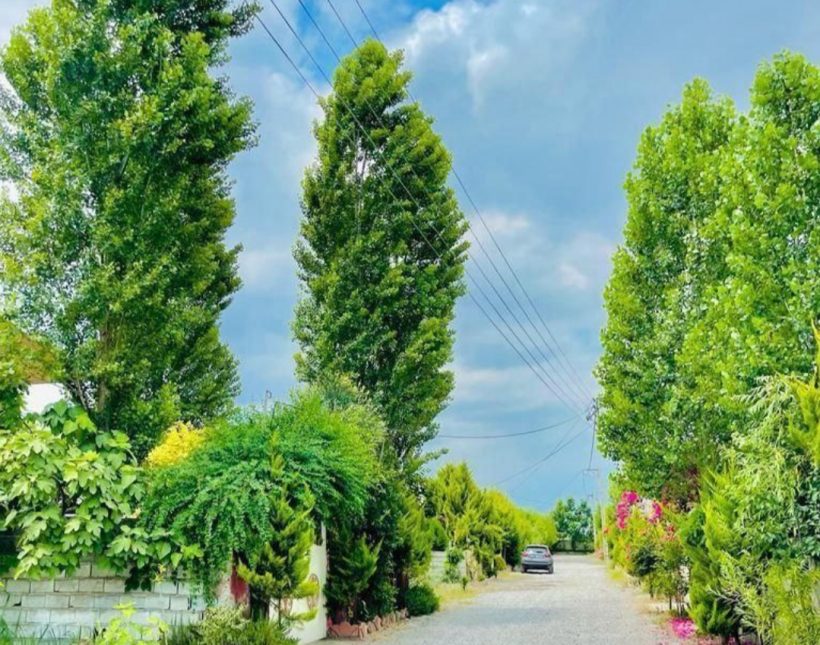 ویلا نیم پیلوت 300 متری فول فرنیش سند دار چمستان | ۳۰۰ متر