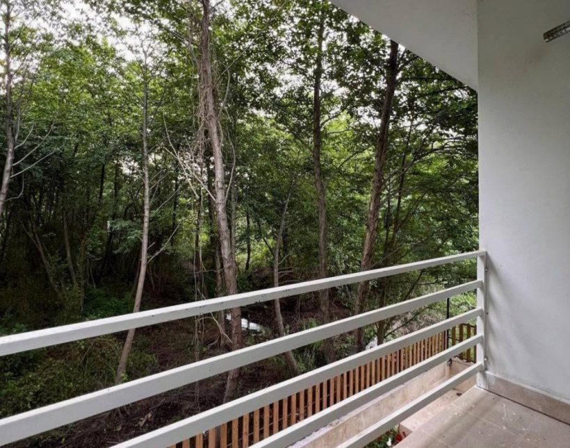 ویلا دوبلکس کلاسیک استخر دار پلاک 1 جنگل 280 متری | ۲۸۰ متر