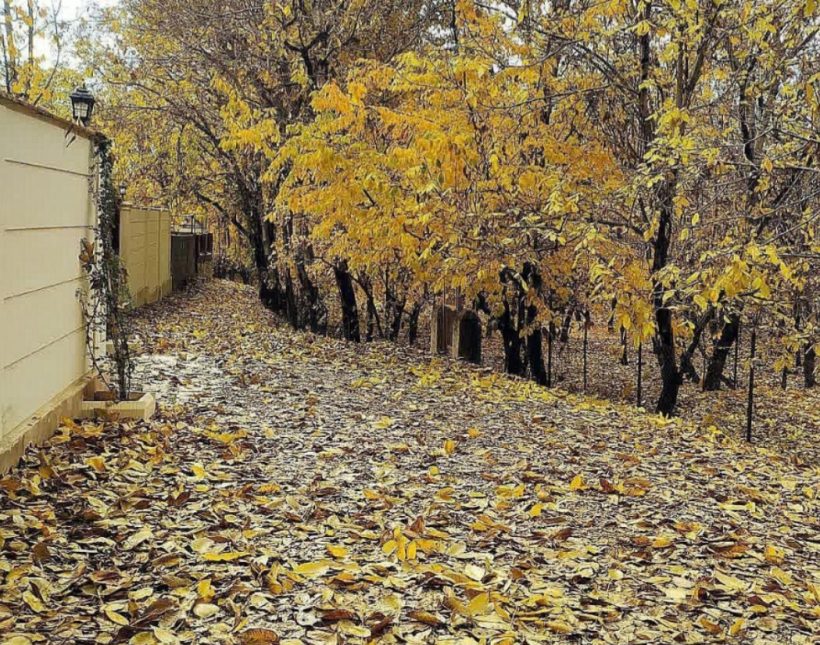 خرید ویلا فلت نما رومی 300 متری استخر دار | ۳۰۰ متر