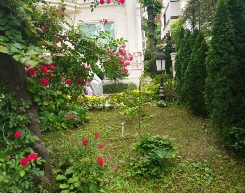خرید کاخ ویلای 750 متری در نور | ۷۵۰ متر