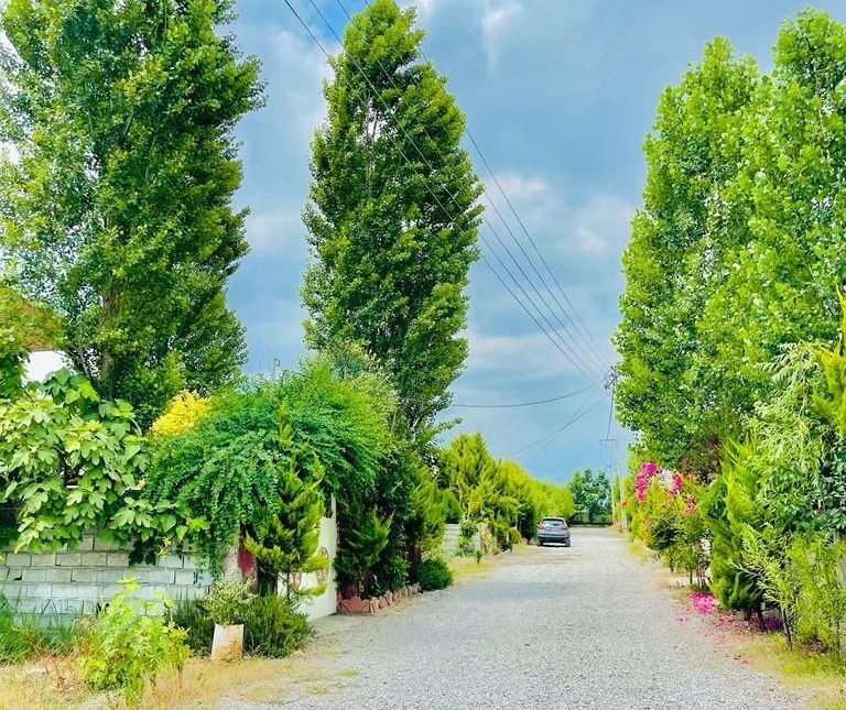 خرید زمین شهرکی نزدیک جنگل سند دار شمال | 400 متر