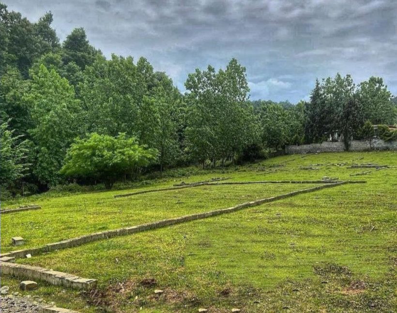 فروش قطعه 250 متری قابل ساخت پلاک یک جنگل | ۲۵۰ متر