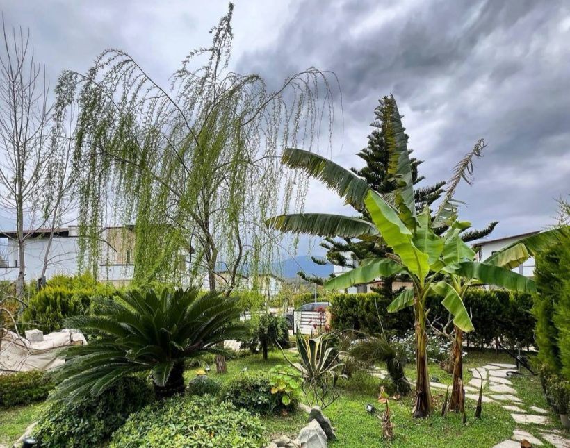 خرید ویلا باغ استخردار در رویان 400 متری سنددار در رویان | ۴۰۰ متر