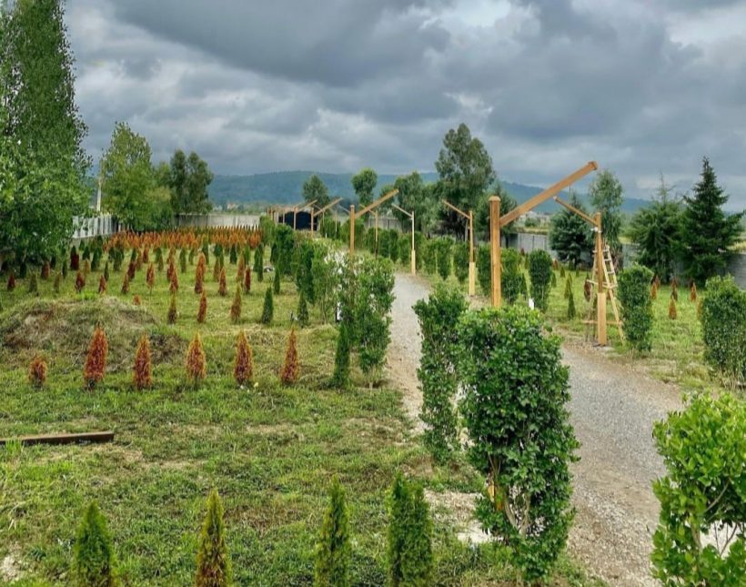 فروش زمین جنگلی 300 متری داخل شهرک برند سند تک برگ | ۳۰۰ متر