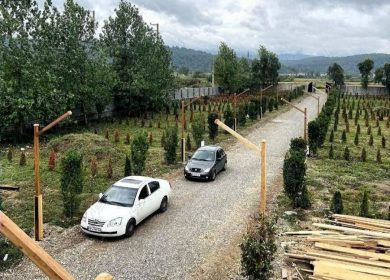 فروش زمین جنگلی با جواز ساخت تفکیک شده شهرکی | ۲۵۰ متر