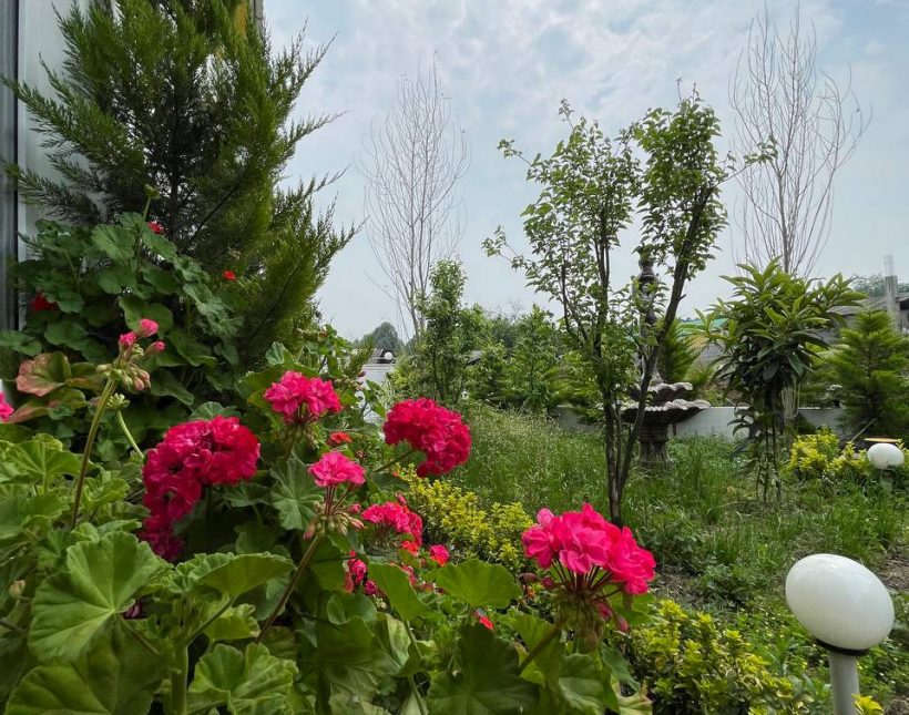 باغ ویلای مدرن 470 متری واقع در سعادت آباد | 470 متر