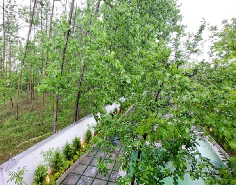 خرید ویلا دوبلکس مدرن استخر دار با روف جنگل الیمالات نور | ۳۰۰ متر