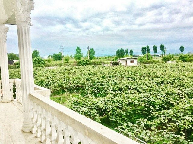 خرید ویلا دوبلکس 298 متر جنگلی 3 خواب نوشهر | ۲۹۸ متر