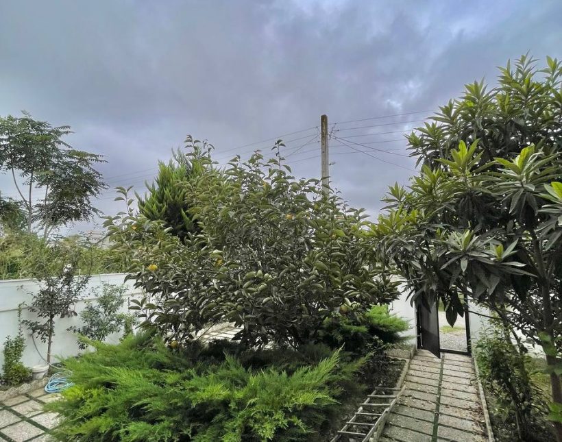 خرید 240 متر ویلای نما رومی مبله سند تک برگ | ۲۴۰ متر