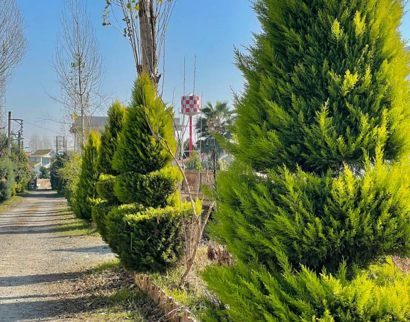فروش زمین ۲۵۰ متری آماده ساخت | ۲۵۰ متر