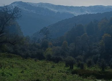 ۳۰۰ متر زمین ییلاقی در رویان با سند تکبرگ و مجوز ساخت | ۳۰۰ متر