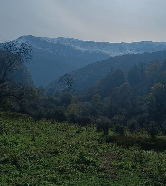 زمین منطقه جنگلی و کوهستانی لاویج | ۱۵۰ متر