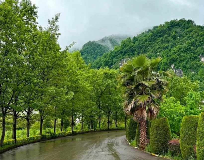خرید ویلا شهرک برند چلک ویوی ابدی جنگل و دریا با آسانسور | ۳۰۰ متر