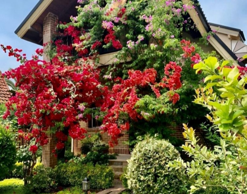 خرید ویلا در شمال ۴۰۰ متری کلاسیک استخردار شهرک پای کوه | ۴۰۰ متر