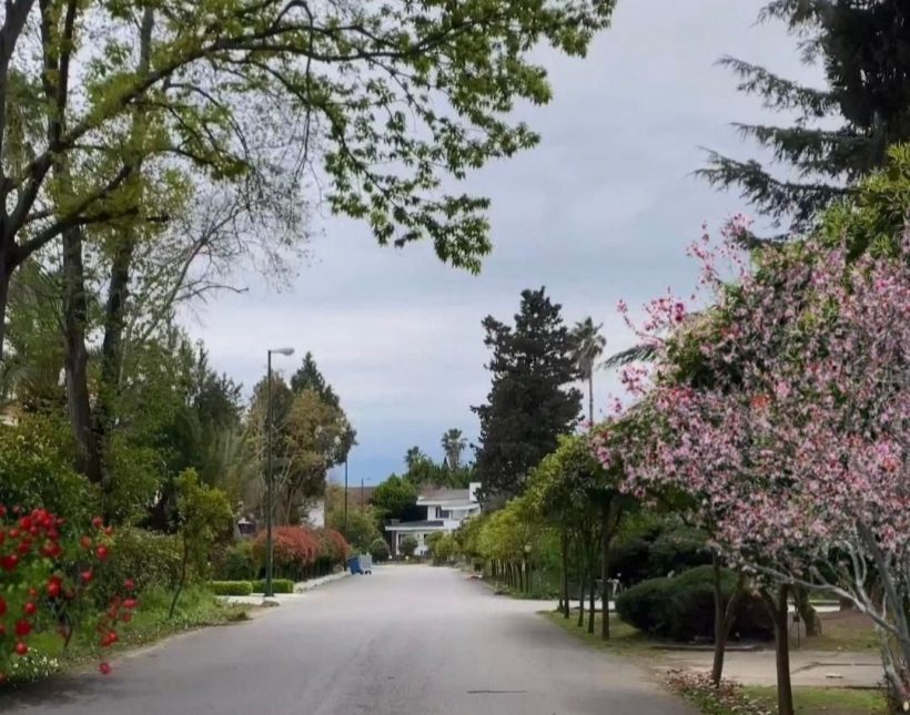 فروش اقساطی ۳۰۰ متر زمین داخل شهرک برند جنگلی نور | ۳۰۰ متر