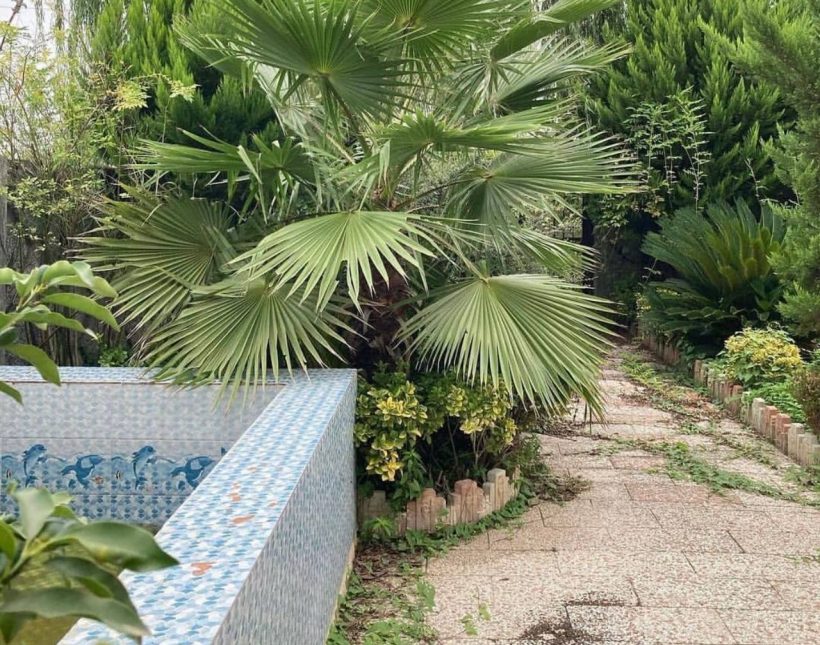 خرید ویلا باغ مبله استخر دار ۴۵۰ متری | ۴۵۰ متر