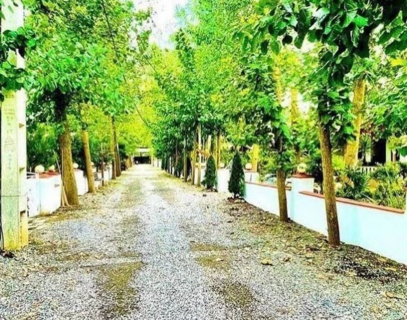 خرید ویلا باغ ۴۰۰ متری مبله قطعه ۱ جنگل | ۴۰۰ متر