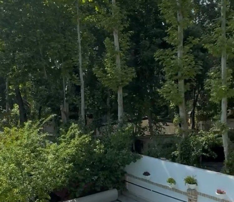 خرید ویلاباغ در مازندران ۸۵۰متری ۳خواب | ۸۵۰ متر