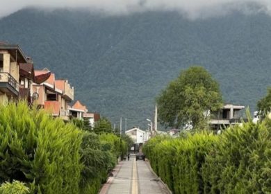 فروش زمین ۲۵۰متری داخل بافت شهرکی جنگلی سنددار | ۲۵۰ متر