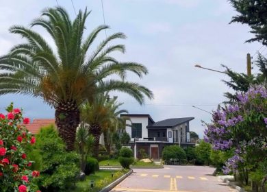 خرید زمین در رویان ۳۱۰ متری شهرکی | ۳۱۰ متر
