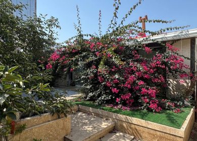 فروش باغ ویلای ۵۰۰ متری با استخر روباز شهرکی | ۵۵۰ متر