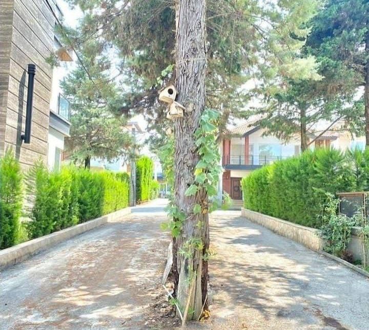 خرید ویلا باغ دوبلکس نما مدرن شهر ساحلی نور با سند تک برگ | ۳۰۰ متر