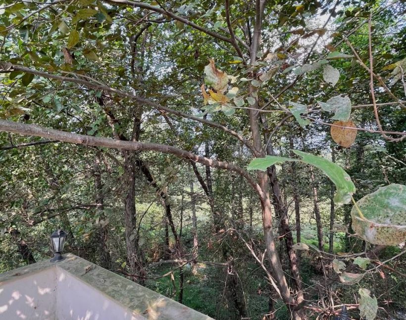 فروش ویلا شمال شهرکی ۲۵۰ متری سند دار جنگلی | ۲۴۰ متر