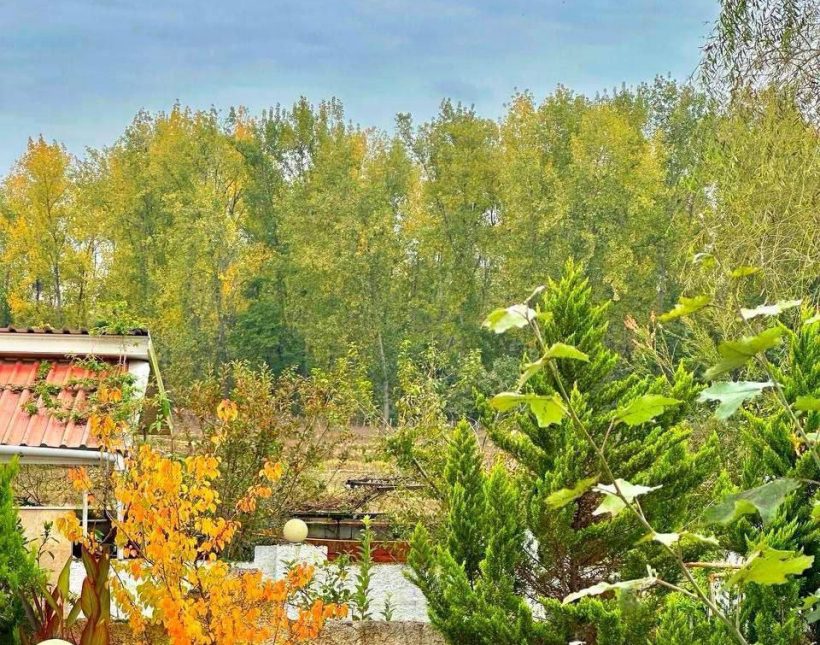 خرید ویلا نما سنگ ۲۲۰ متر زمین دل جنگل | ۲۲۰ متر