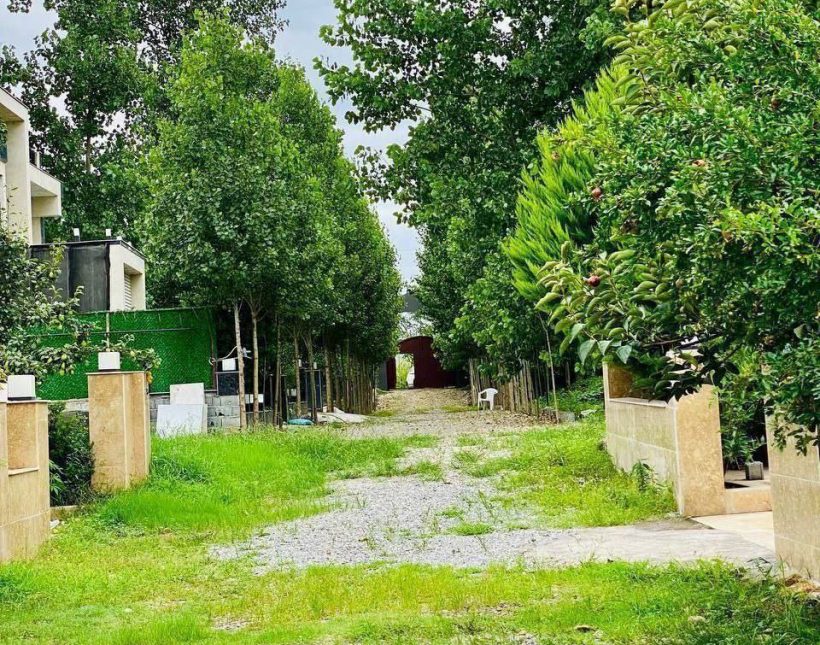 خرید زمین ۲۰۰متری ، شهرک جنگلی | ۲۰۰ متر