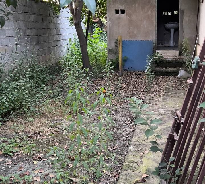 خانه باغ کلنگی ۵۵۰ متری سند تک برگ دل جنگل | ۵۵۰ متر