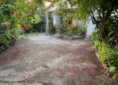 خانه باغ کلنگی ۵۵۰ متری سند تک برگ دل جنگل | ۵۵۰ متر