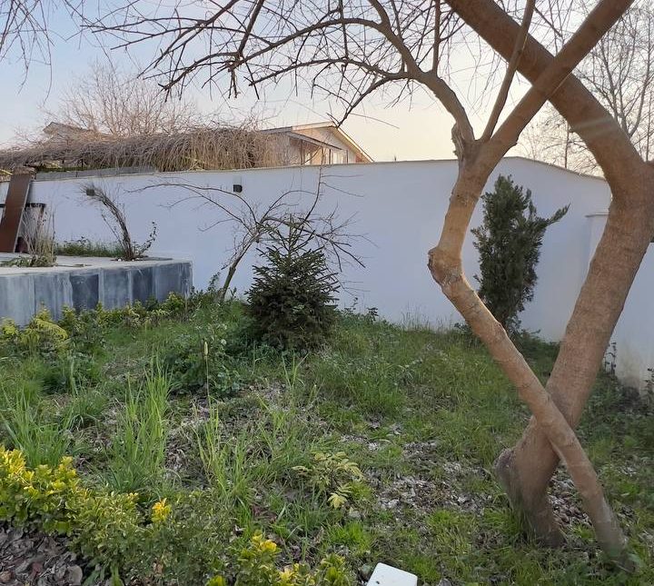 خرید ویلا باغ۷۰۰  متری اقساطی پلاک ۱ جنگل نعمت آباد چمستان | ۷۰۰ متر