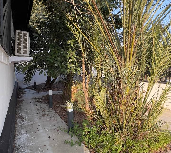 خرید ویلا باغ۷۰۰  متری اقساطی پلاک ۱ جنگل نعمت آباد چمستان | ۷۰۰ متر