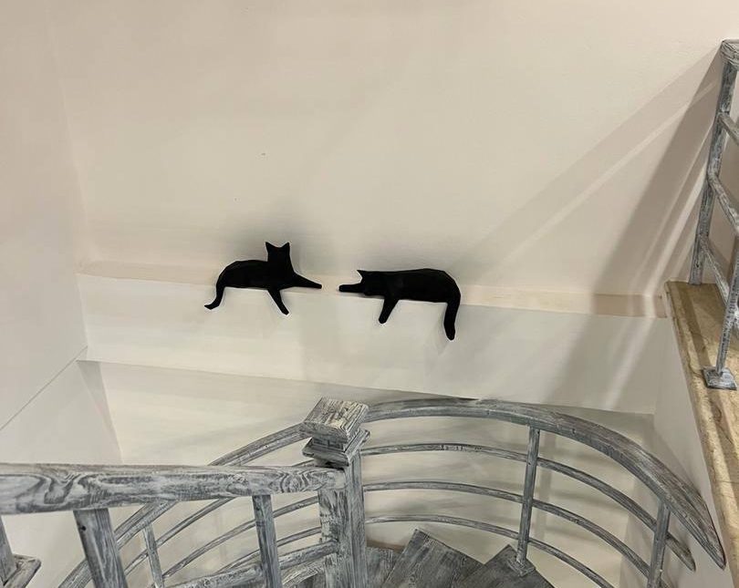 فروش باغ ویلا داخل مجتمع 5 واحدی منطقه برند ونوش | 300 متر