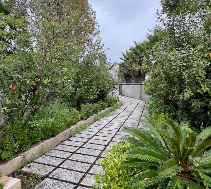 خرید ویلا باغ ۵۵۰ متری درچمستان | 530 متر