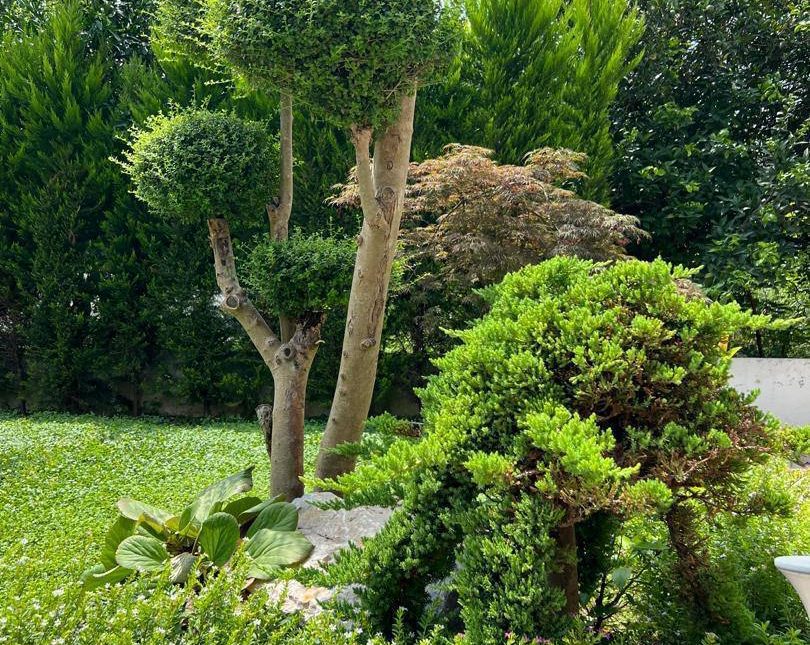 خرید ویلای ۲۵۰ متری سند دار ونوش رویان | ۲۵۰ متر