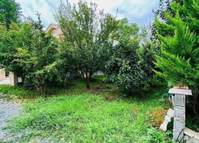 فروش زمین ابعاد دلخواه فرصت‌ مناسب ساخت و سرمایه گذاری | 250 متر