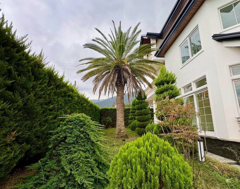 خرید ویلا در نخ شمال سیسنگان ۱۰۰۰ متر تریپلکس | ۱۰۰۰ متر